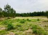 8568 Hosford Hwy. photo